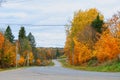 Curved country road through a forest in fall season colors Royalty Free Stock Photo
