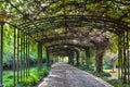 Curved covered pathway