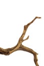 Curved driftwood branch isolated on white background with clipping path Royalty Free Stock Photo