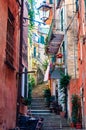 Curved elevated stairs street full of outdoor elements like street lanterns, growing plants, balconies and windows telling their