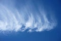 Curved feather clouds. White haze in the sky. Royalty Free Stock Photo