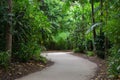 A curved footpath in the shade of tall green trees and thick foliage.