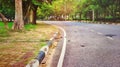 Curved grunge road with tree