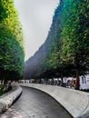 curved hedges in fancy garden