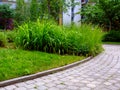 curved interlocking stone garden path with bright green lush reed like plants