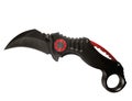 Curved knife - karambit Royalty Free Stock Photo