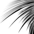 Curved lines element in clipping path. Curved lines, stripes through artboard Royalty Free Stock Photo