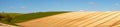 Curved lines of a ploughed field with a blue sky and white fluffy clouds of the rolling farmland in Sussex, England, UK Royalty Free Stock Photo