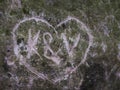 Curved lovers heart hidden in moss on rock