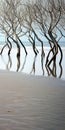 Curved Mirrors: Hypnotic Illusion Of Dry Trees On The Beach