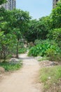 Curved muddy pathway