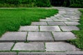 Curved park way made of square stone tiles overgrown with grass in a park. Royalty Free Stock Photo