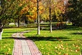 Curved path in autumn park