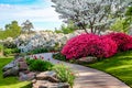 Curved path through banks of Azeleas and under dogwood trees with tulips under a blue sky - Beauty in nature Royalty Free Stock Photo