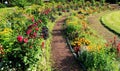 Curved path in the colorful garden, with flowers