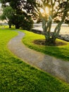 Curved path by the sea at low tide. The evening sun shines through the trees.