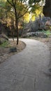 Curved path in forest