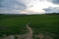 Curved paths and trails in the grass on the green meadow. Royalty Free Stock Photo