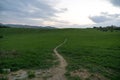 Curved paths and trails in the grass on the green meadow. Royalty Free Stock Photo