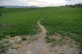 Curved paths and trails in the grass on the green meadow. Royalty Free Stock Photo