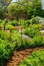 Curved pathway through garden Royalty Free Stock Photo