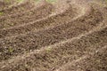 Curved pattern of ridges and furrows of a plowed field