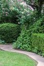 Curved paved pathway through garden with lawn and vines and a crepe myrtle and hedges and rose of sharon