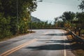 Curved paved road surrounded by green forest travel driving environment backdrop background design template