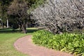 Curved Paved Walkway in Botanical Garden Setting