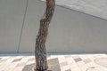 Curved pine tree trunk, Dongdaemun design plaza, Seoul Royalty Free Stock Photo