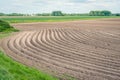 Curved potato ridges in a Dutch polder landscape Royalty Free Stock Photo