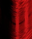 Curved red lines on black Royalty Free Stock Photo