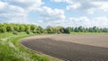 Curved ridges with newly seeded potatoes