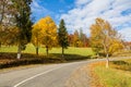 Curved road on a bright sunny autumn day