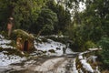 A curved road covered in snow going nowhere in a forest