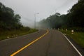 Curved road landscape with green forest and fog. Empty highway in green summer landscape. Royalty Free Stock Photo