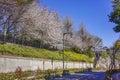 Semizaka slope with cherry trees of Hiratsuka Shrine in Kaminakazato. Royalty Free Stock Photo
