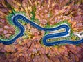 Curved road trough the forest. Hi mountain pass in Transylvania Royalty Free Stock Photo