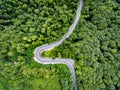 Curved road trough the forest viewed from above