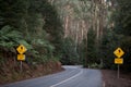 Curved road with two road signs, journey Royalty Free Stock Photo