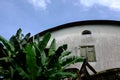 Curved roof, sky and banana leaves Royalty Free Stock Photo