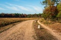 Curved sand path in the Dutch nature area Strijbeekse Heide in t