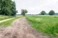 Curved sandy path in a Dutch nature reserve