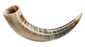 A curved shofar horn with light and dark brown stripes isolated on a white background Royalty Free Stock Photo