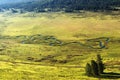 Curved small river on meadow