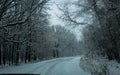 Curved snow covered road through trees