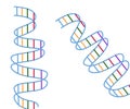 Curved Stairs or DNA like Symbolic Graphical Representation