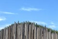 Curved timber wall holding up a mound of ground with grass