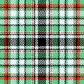 Curved vector tartan plaid, rectangle textile texture fabric. Floor pattern check background seamless in light and green colors