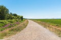 Curved walking path disappearing in distance, lined by trees and shrubs on one side with marsh on other